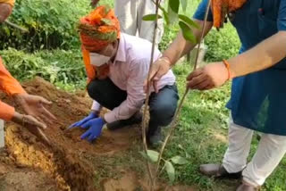 people of dera village tied rakhi to former soldiers and plant saplings on rakshabandhan