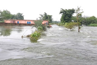 floods in Bihar