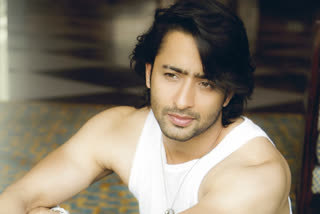 Shaheer Sheikh childhood ambition