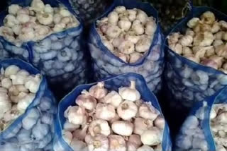 Farmers happy with garlic production in Paonta