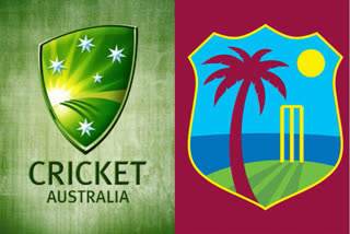 Cricket Australia announces postponement of T20I series against Windies