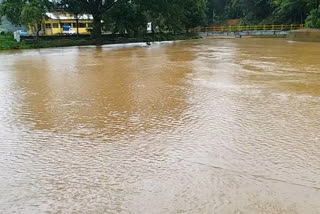 Heavy Rain in Kodagu