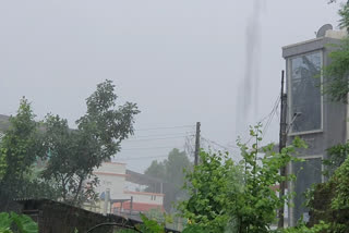 heavy rain palghar news  palghar rain news  palghar rain update  पालघर पाऊस अपडेट  पालघर पाऊस बातमी