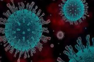 China reports 36 new coronavirus cases  ചൈനയില്‍ 36 പേര്‍ക്ക് കൊവിഡ്  കൊവിഡ് 19  ചൈന  China  coronavirus  covid cases in china  covid 19