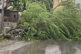 Continuous rains from night in Vasai Virar