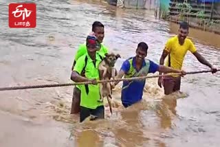 தண்ணீரில் மூழ்கிய பழங்குடியின கிராமம்!