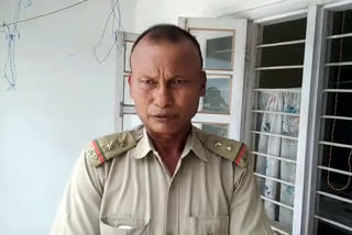 tinsukia-felobari-illegal-timber-rescue-by-police