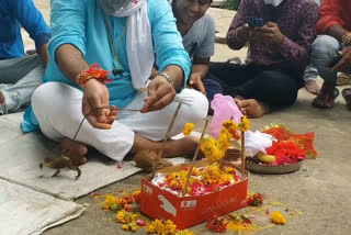 Frog-frog wedding arranged in Vidisha