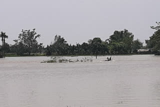 Three people, including a doctor, are feared to have drowned in the floods