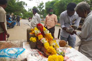 mother monkey died while save the baby monkey in tadipatri ananthapuram district