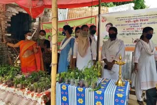 Patanjali Yoga Committee celebrated Herbs Day in sahibganj