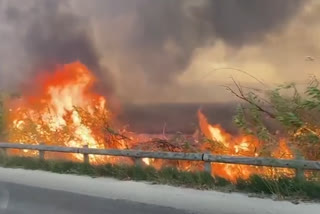 Watch: Firefighters battle fierce wildfire in southeastern France