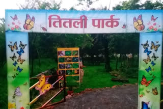 Butterfly Park will be opened for tourists from today