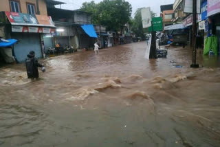 heavy rain in palghar