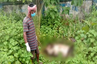 Dead body of young man found in a closed bag in Dhanbad