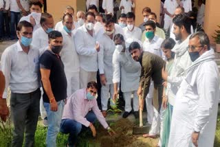 Minister of State Anoop Dhanak planted sapling at Chhaju Ram Law College of hisar