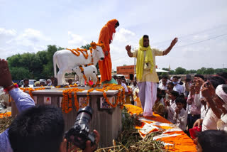 Bhinmal news, Gau Mata Chowk, jalore