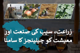 جموں و کشمیر: زراعت، سیب کی صنعت اور معیشت