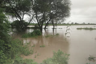 ಹೊಲ ಗದ್ದೆಗಳು ಸಂಪೂರ್ಣ ಜಲಾವೃತ