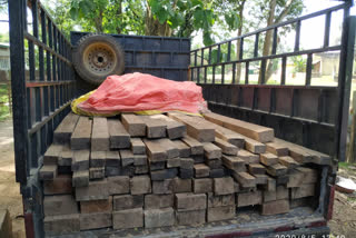 illigal timber rescue at kukurmara forest