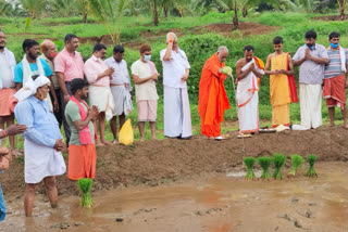 Belangadi journalists are ideal for planting paddy