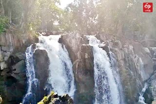 ஒகேனக்கல்லில் வெள்ளம்