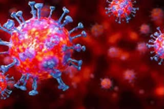 5,175 new coronavirus cases and 12 deaths have been reported in Tamil Nadu