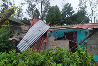 idukki  heavy heavy speedy wind  house damaged  heavy rain updates  mother and daughter injured  ശക്തമായ കാറ്റ്  അമ്മയ്ക്കും മകൾക്കും പരിക്ക്  ഇടുക്കി കനത്ത മഴ  വീടുകൾ തകർന്നു