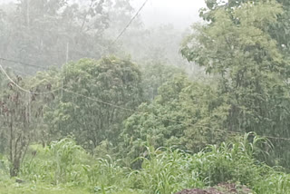 rainfall of all the taluka