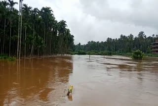 heavy rain in malappuram  heavy rain news  malappuram rain news  malappuram news  മലപ്പുറം വാര്‍ത്തകള്‍  കനത്ത മഴ  മഴ വാര്‍ത്തകള്‍