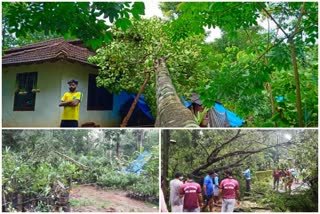 മലപ്പുറം  മങ്കട  തീരൂർകാട്  mankada