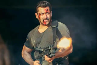 Salman khan tiger 3