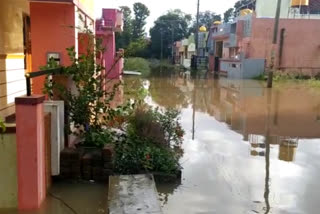 Heavy Rain Forecast