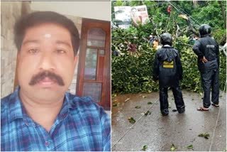 Nedumangad: A man died when a tree fell on him  നെടുമങ്ങാട് മരം ഒടിഞ്ഞ് വീണ് ഒരാൾ മരിച്ചു