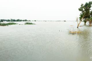 ನೆರೆ ಬಂದು ಒಂದು ವರ್ಷ ಕಳೆದರು ಪರಿಹಾರ ಇಲ್ಲ