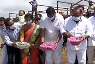 minister gangula kamalakar release fish into mid maneru project