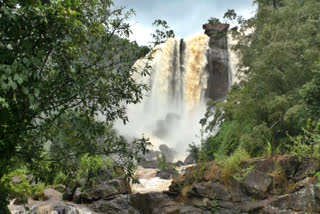 കുത്തുങ്കൽ വെള്ളച്ചാട്ടം  kuthunkal water falls  ഹൈറേഞ്ചിന്‍റെ അതിരപ്പള്ളി  athirappally of high range