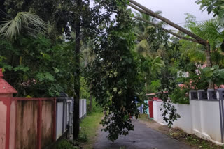 Widespread damage  Thiruvalla taluk  strong winds  ശക്തമായ കാറ്റ്  തിരുവല്ല  തിരുവല്ല താലൂക്കില്‍ വ്യാപക നാശം  ശക്തമായ കാറ്റ്