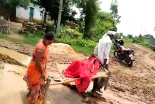 Ambulance not reach village due to lack of road