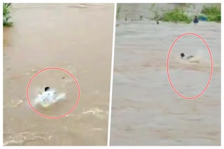 youth carried away in Jansai river at Mhasla taluka raigad