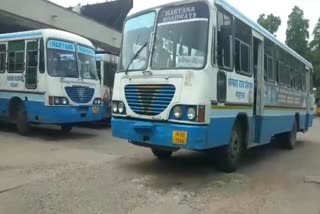 Panipat depot is running 100 buses daily