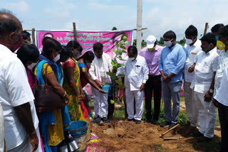 haritaharam program at kalwakurthy mandal nagarkurnool district