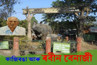 kaziranga video story