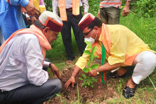 BJP leaders planted saplings