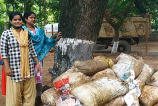 2 lakh rupees paid to cattle herders of Bastar under Godhan Nyay Yojana