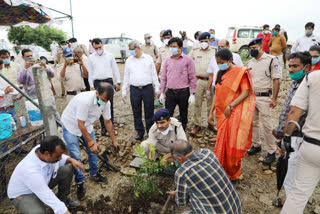 Plantation program organized