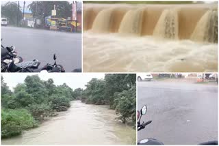 Gondia Rainfall