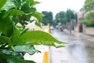 heavy rain bhavnagar