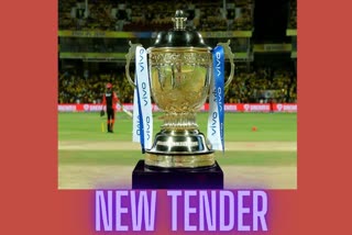 IPL 13  BCCI  title sponsorship  Vivo  suspension