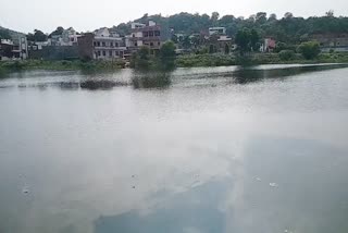 Young man suicide by jumping in a pond